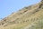 A group of hikers, equipped with backpacks, trekking up a grassy hillside on a clear, sunny day. The line of hikers follows a gentle slope along the hill, surrounded by sparse vegetation and rocky patches.