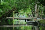 Serene waterway with boats and lush trees reflecting in the still water.