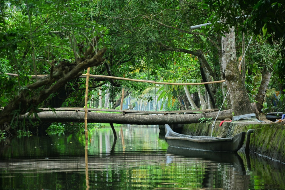 a boat floating down a river next to a lush green forest