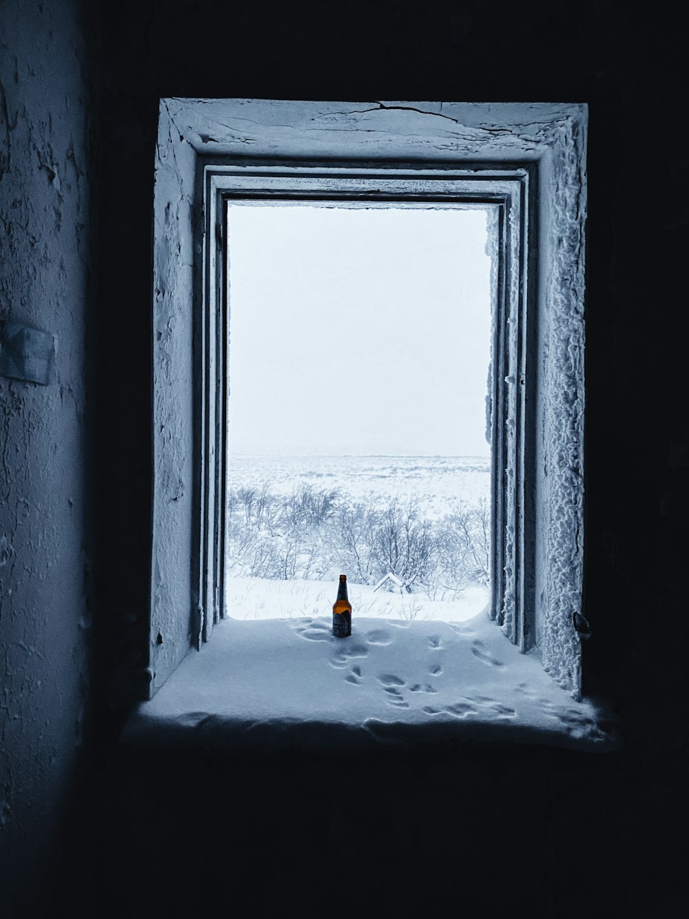 a bottle of beer sitting in the middle of a window