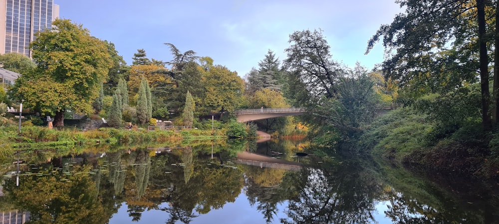 a body of water surrounded by trees and a bridge