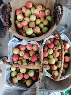 A collection of baskets filled with red and green apples, placed on newspapers. The apples are abundant and appear fresh, with wicker baskets lending a rustic charm. The setting suggests a market or farm produce display, and a bottle can be seen in the background.