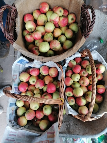 A collection of baskets filled with red and green apples, placed on newspapers. The apples are abundant and appear fresh, with wicker baskets lending a rustic charm. The setting suggests a market or farm produce display, and a bottle can be seen in the background.