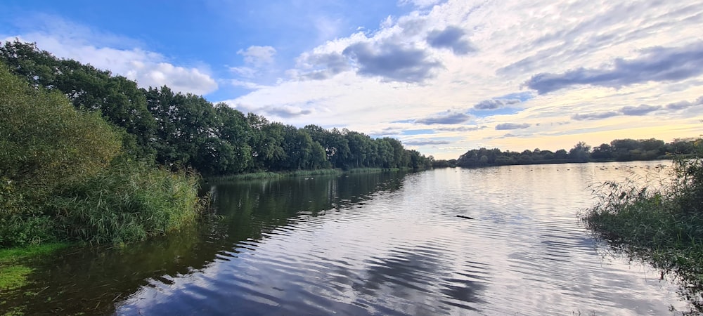 a body of water surrounded by trees and grass