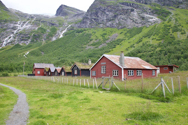 Best Budget Hostels in Lofoten That Are Actually Worth Staying In