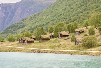 A serene village landscape featuring traditional houses and lush greenery.