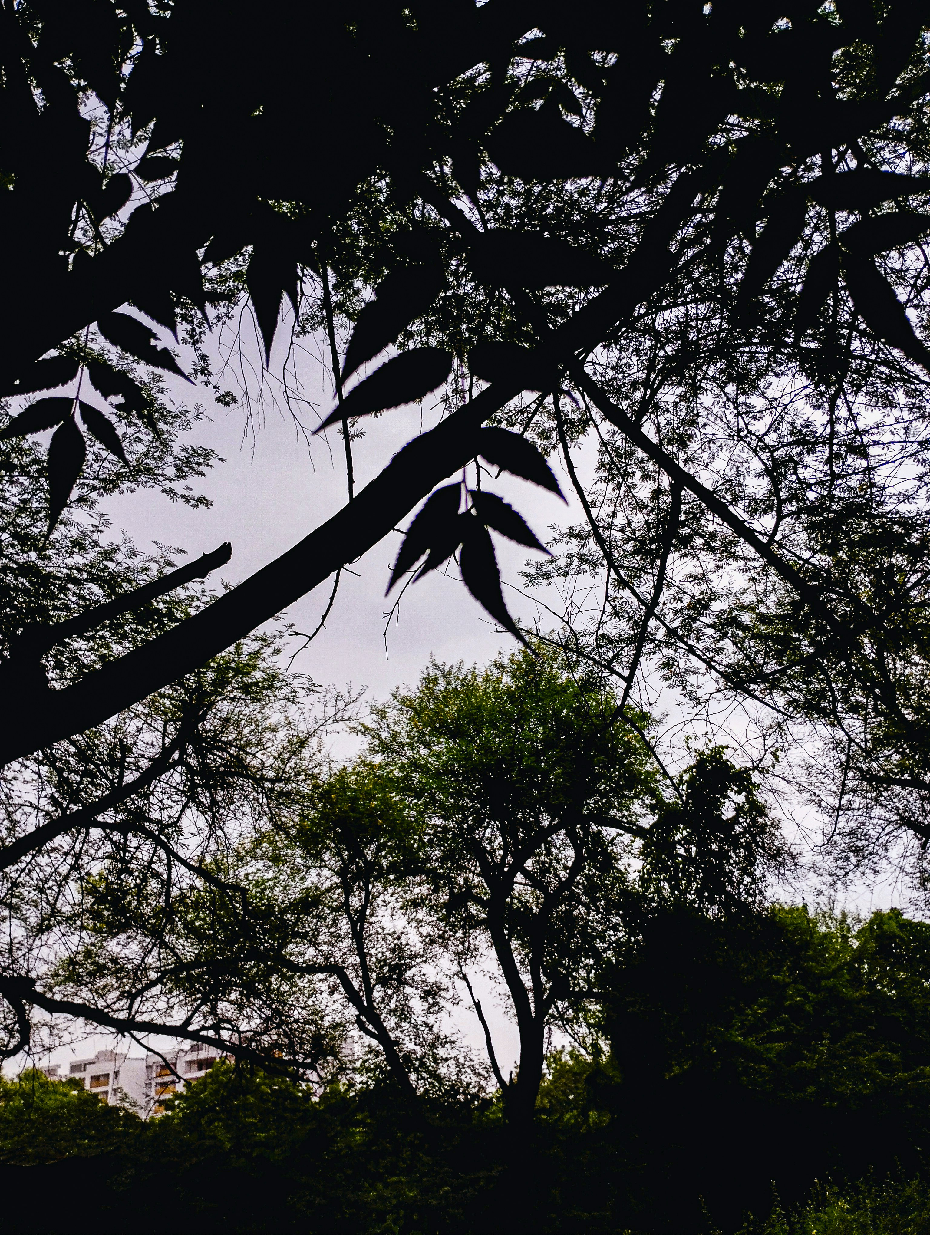 Photo by creative_af