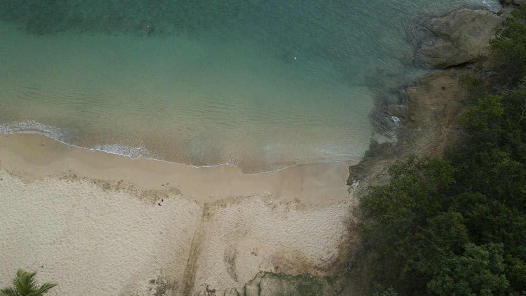an aerial view of a sandy beach and ocean,