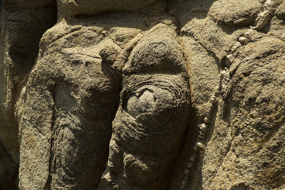 a close up of an elephant's face carved into a rock