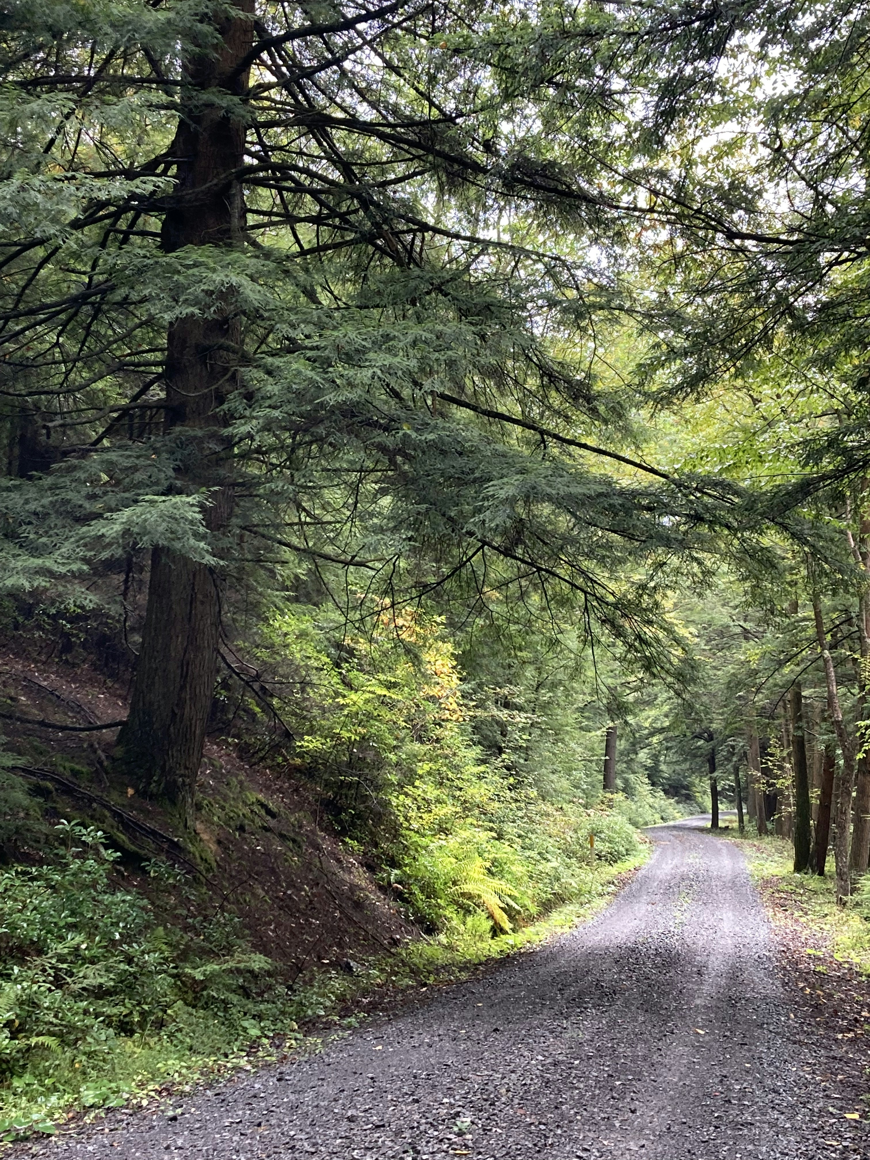 Photo by lisa_duqlaw