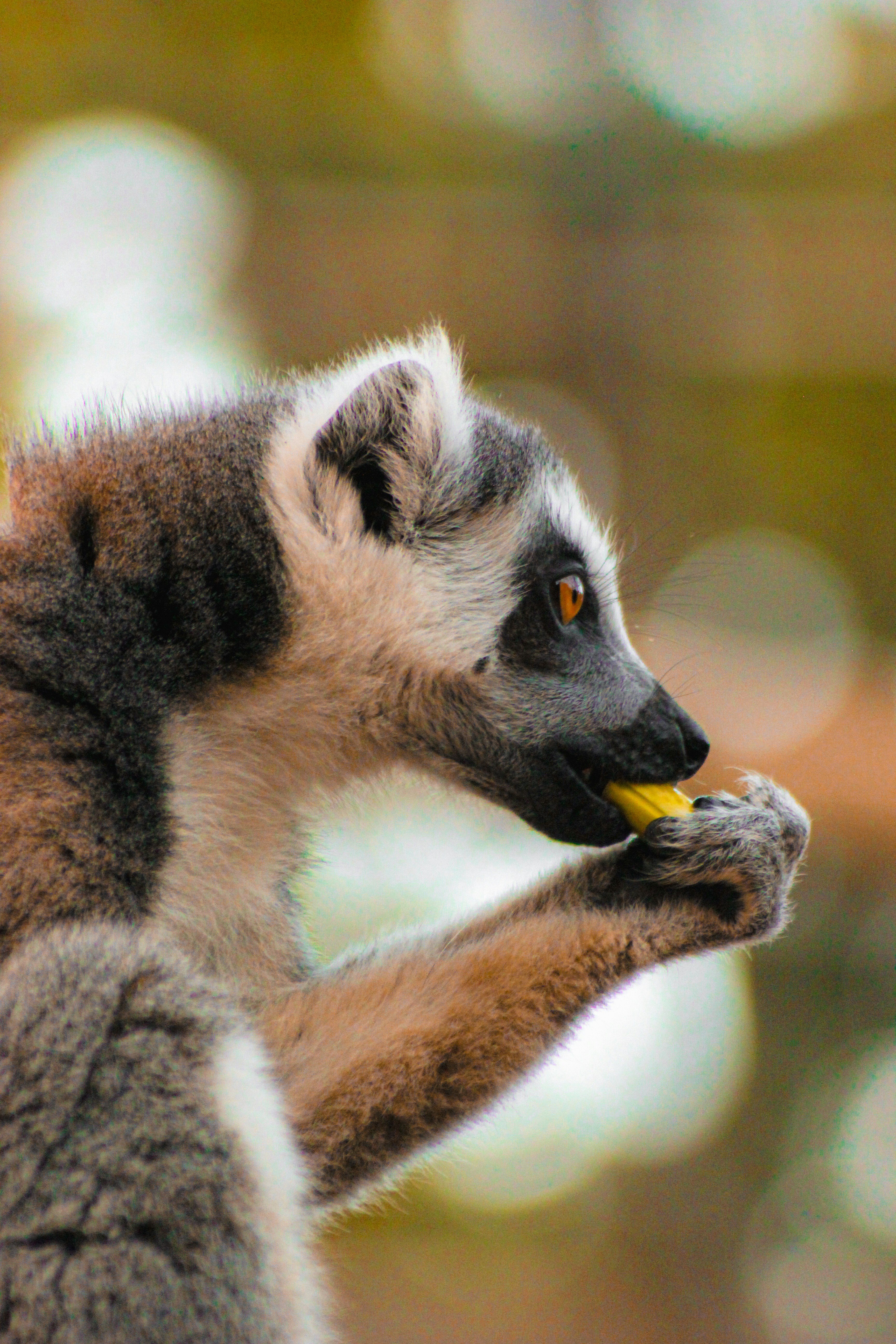 Photo by imjessicatr