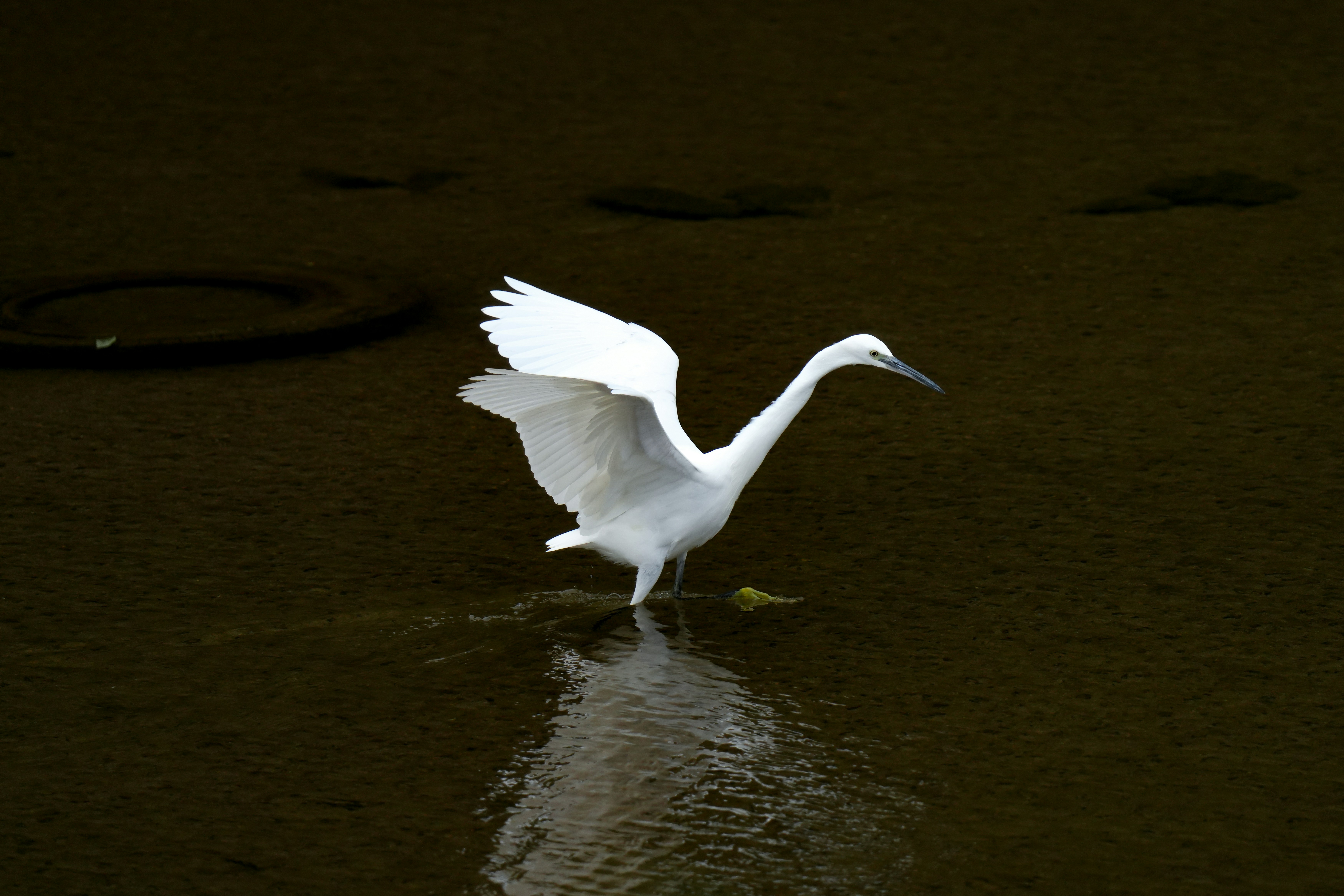 Photo by kim_dae_jeung