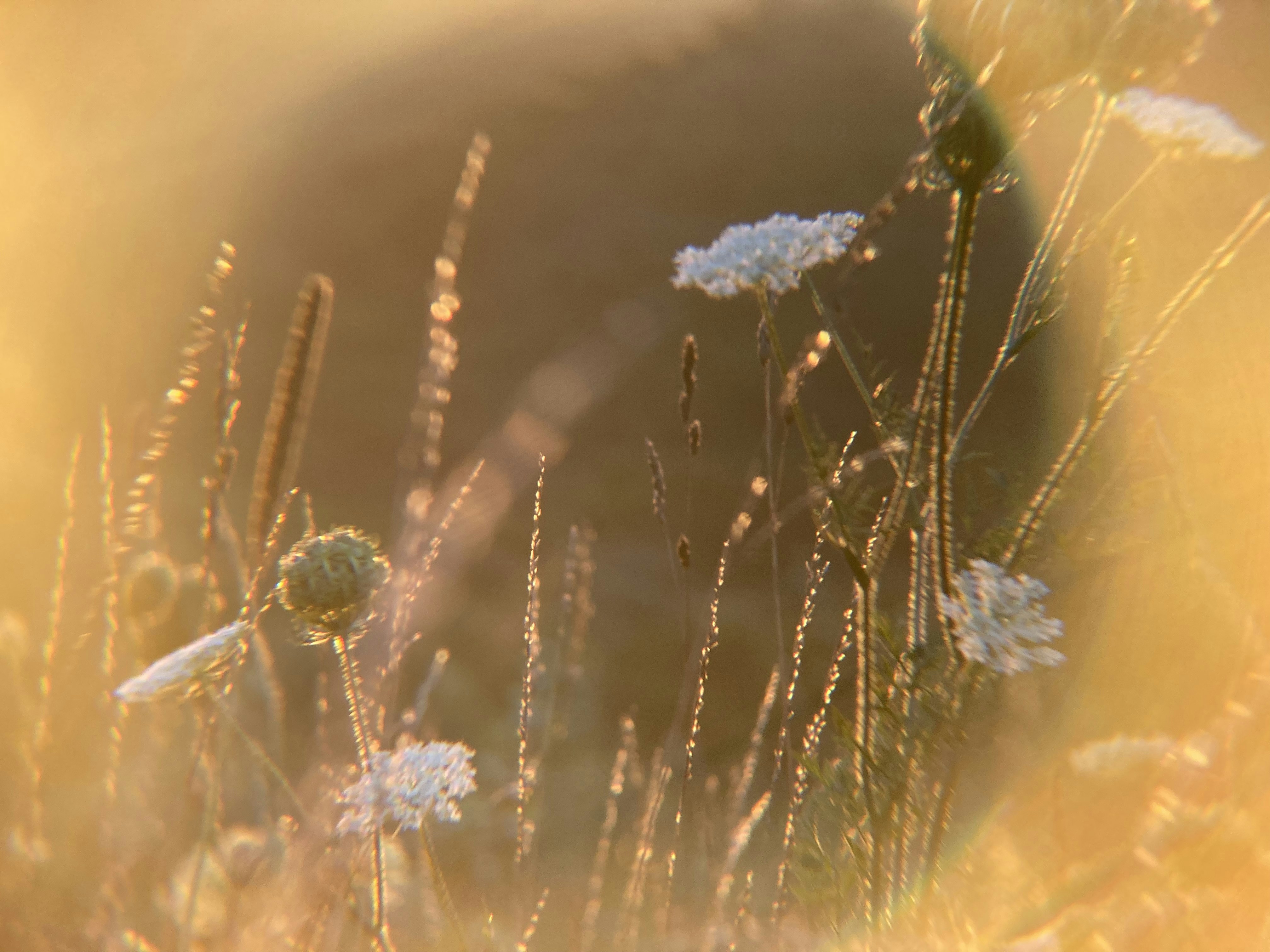 Photo by lisa_duqlaw