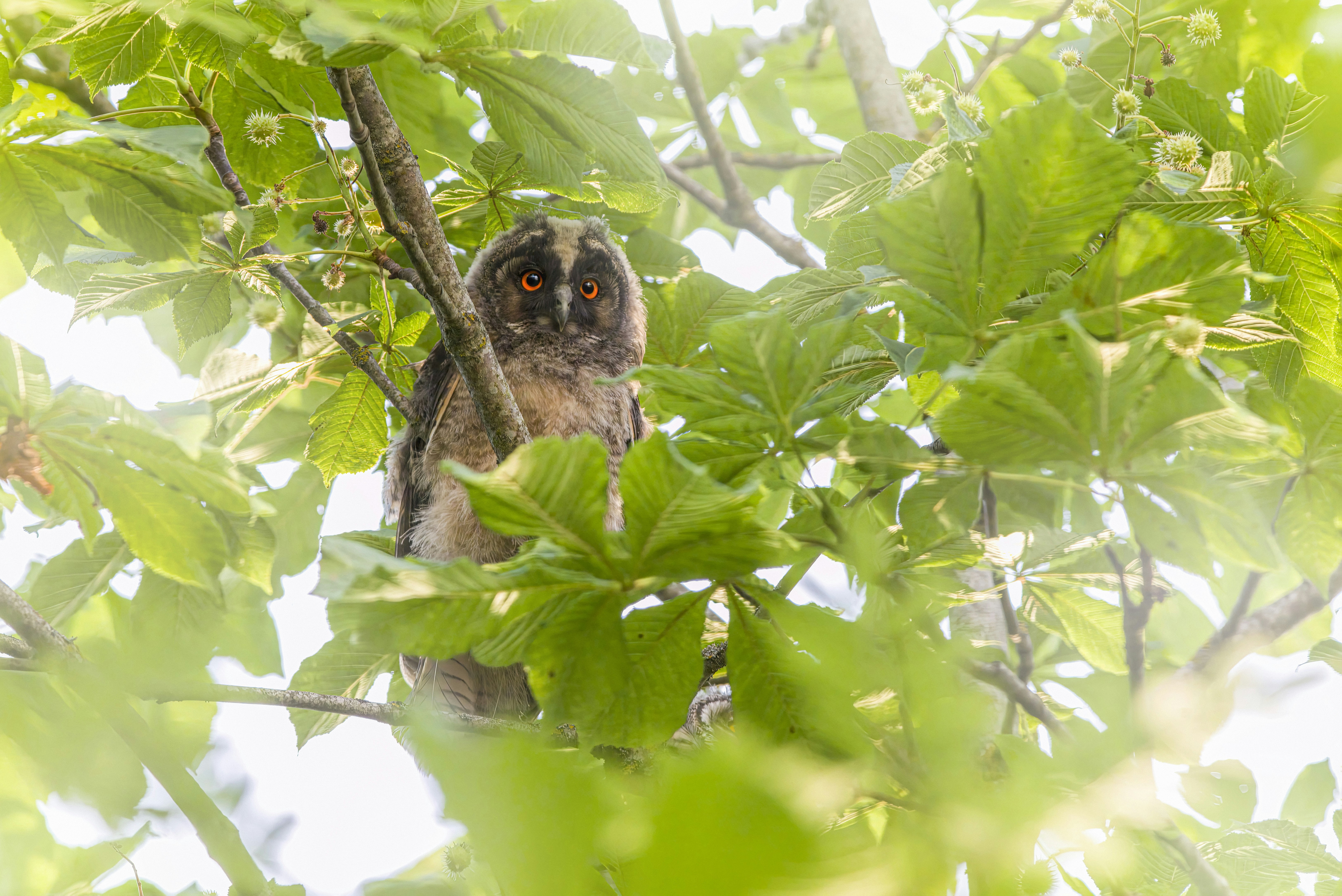 Photo by erik_karits