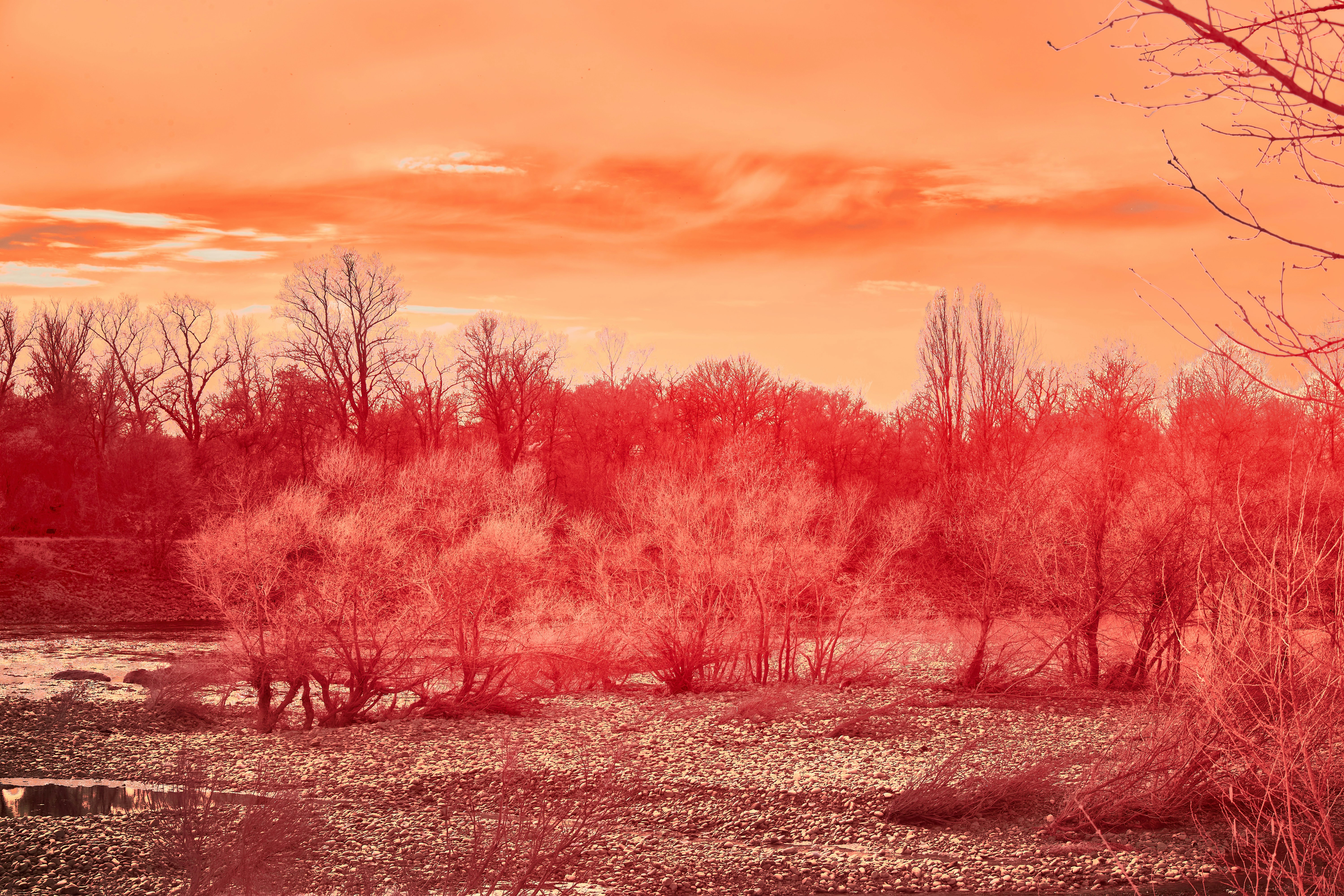 Photo by wolfgang_hasselmann