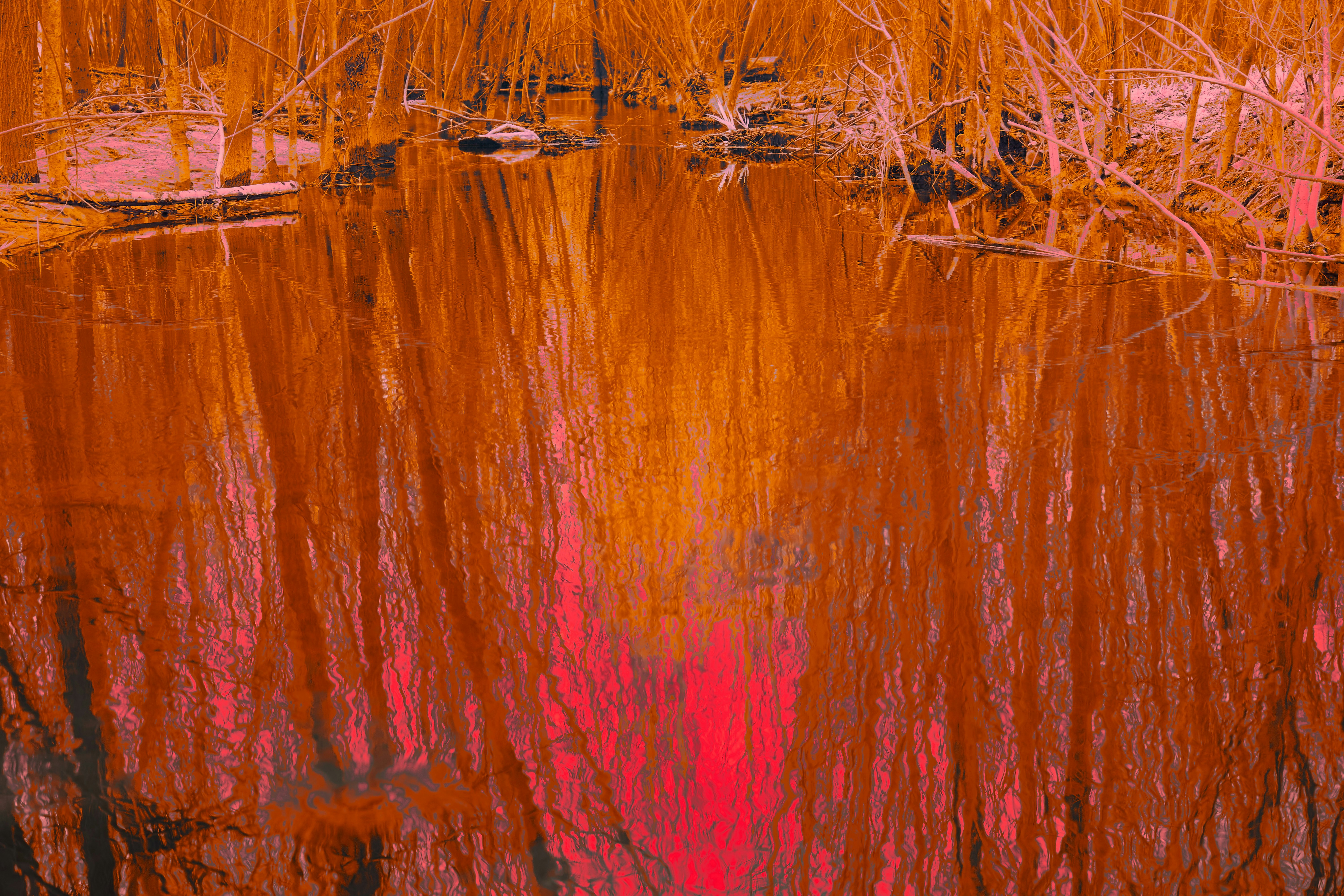 Photo by wolfgang_hasselmann