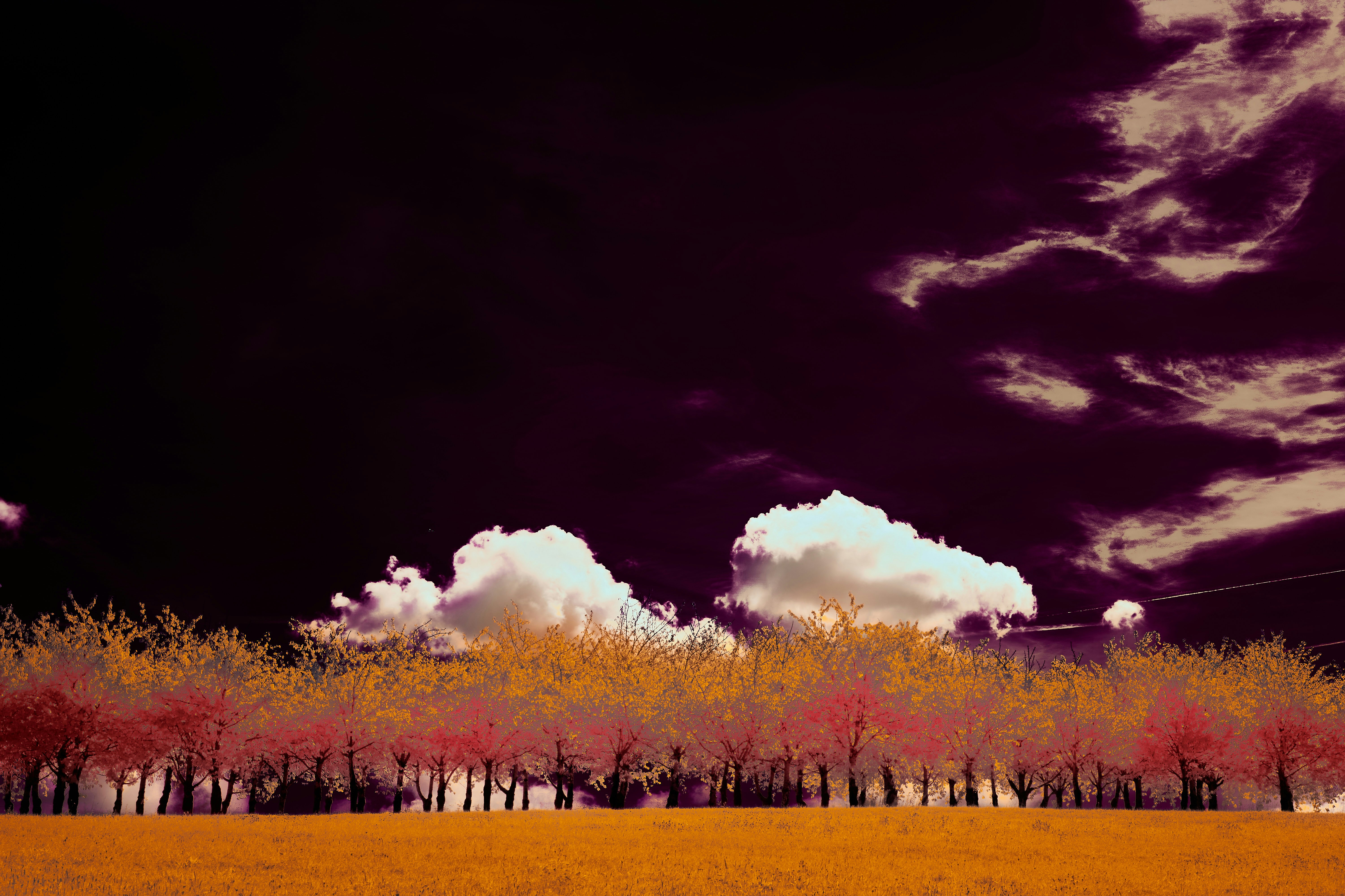 Photo by wolfgang_hasselmann