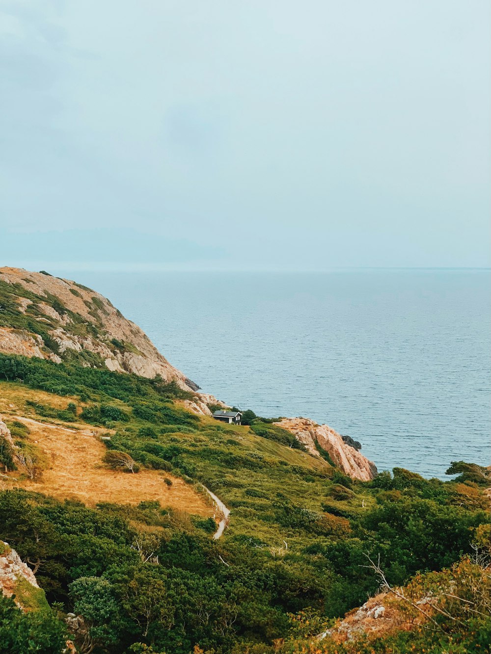 a view of the ocean from the top of a hill