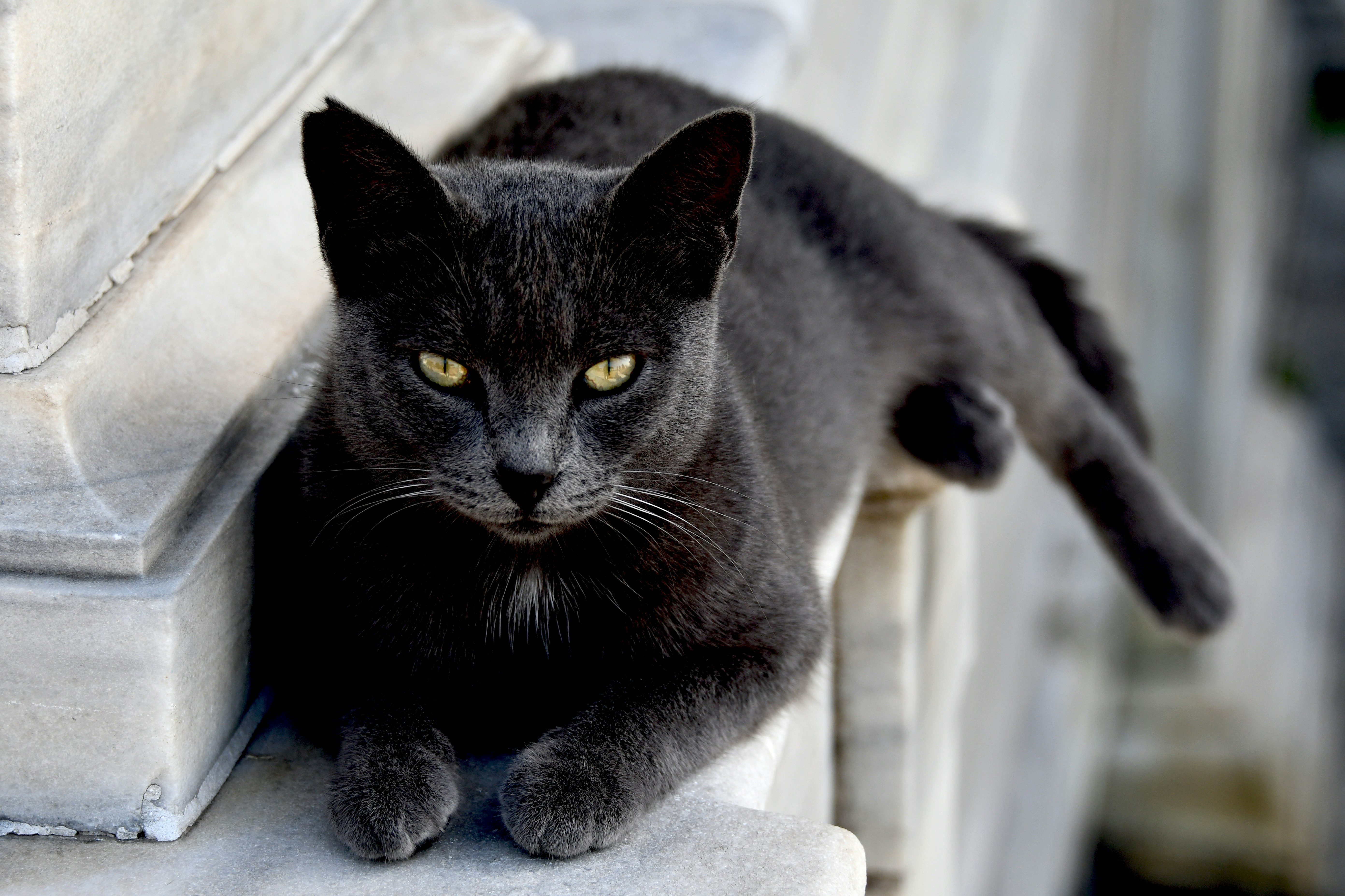 trip gallery picture