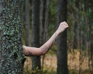 An arm with botanical tattoos appears to be emerging from behind a tree trunk in a forest setting. The background consists of several trees with rich green foliage, creating a natural, woodland atmosphere.