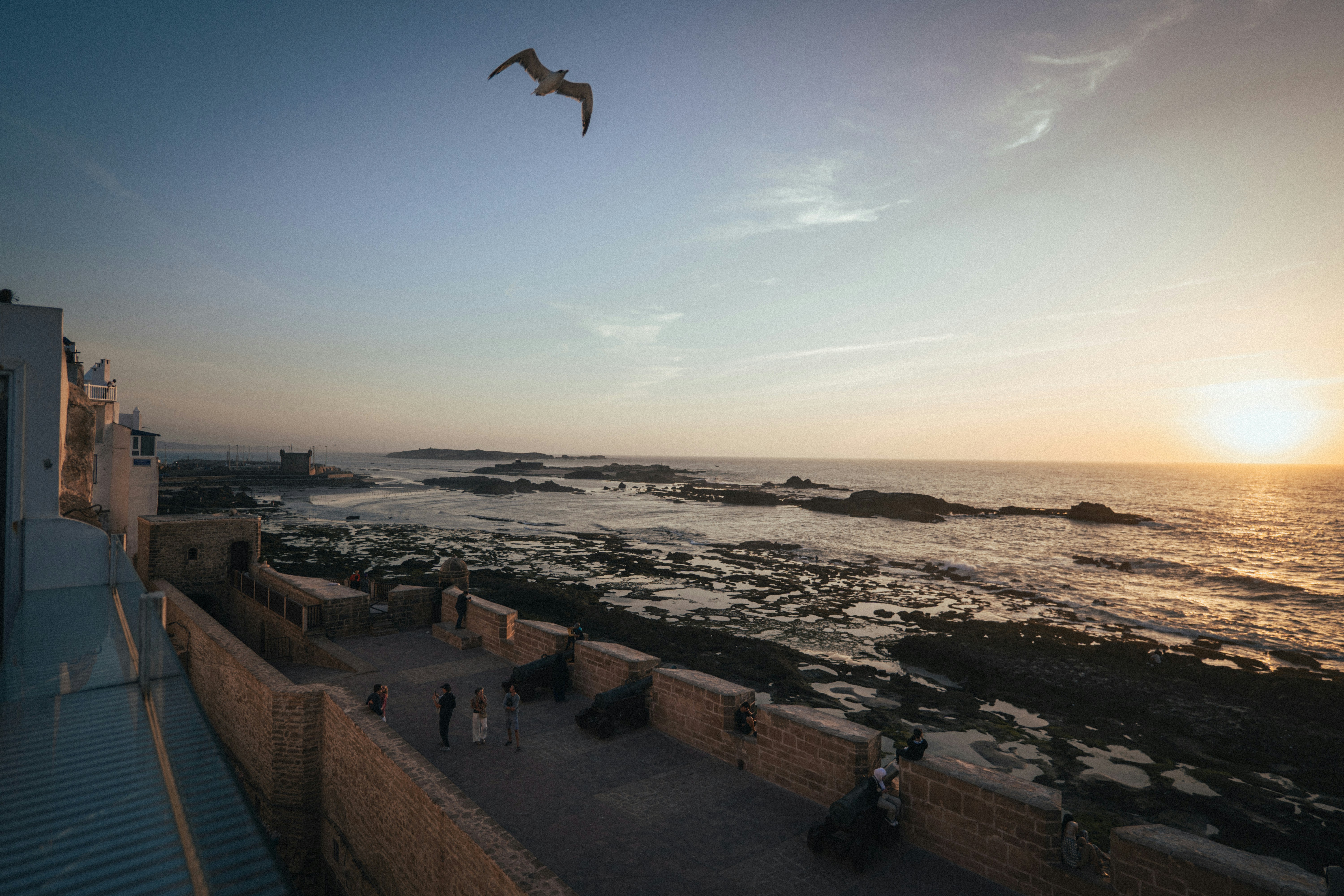a bird flying over the ocean at sunset, Maroc