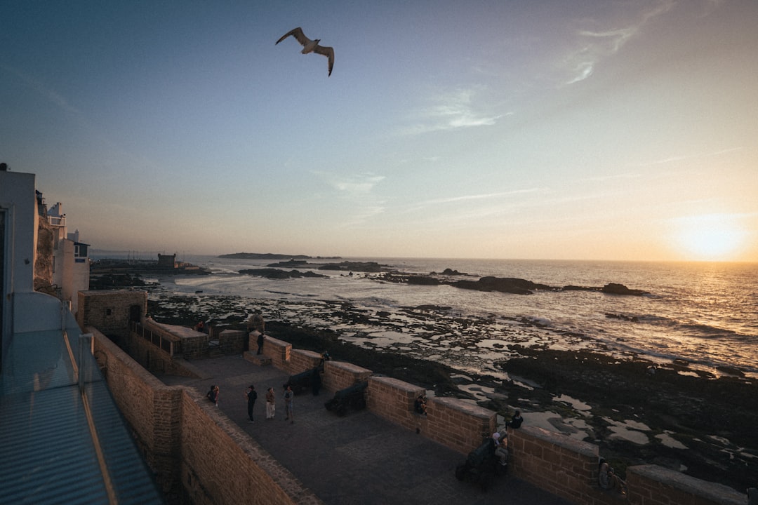 a bird flying over the ocean at sunset, Maroc