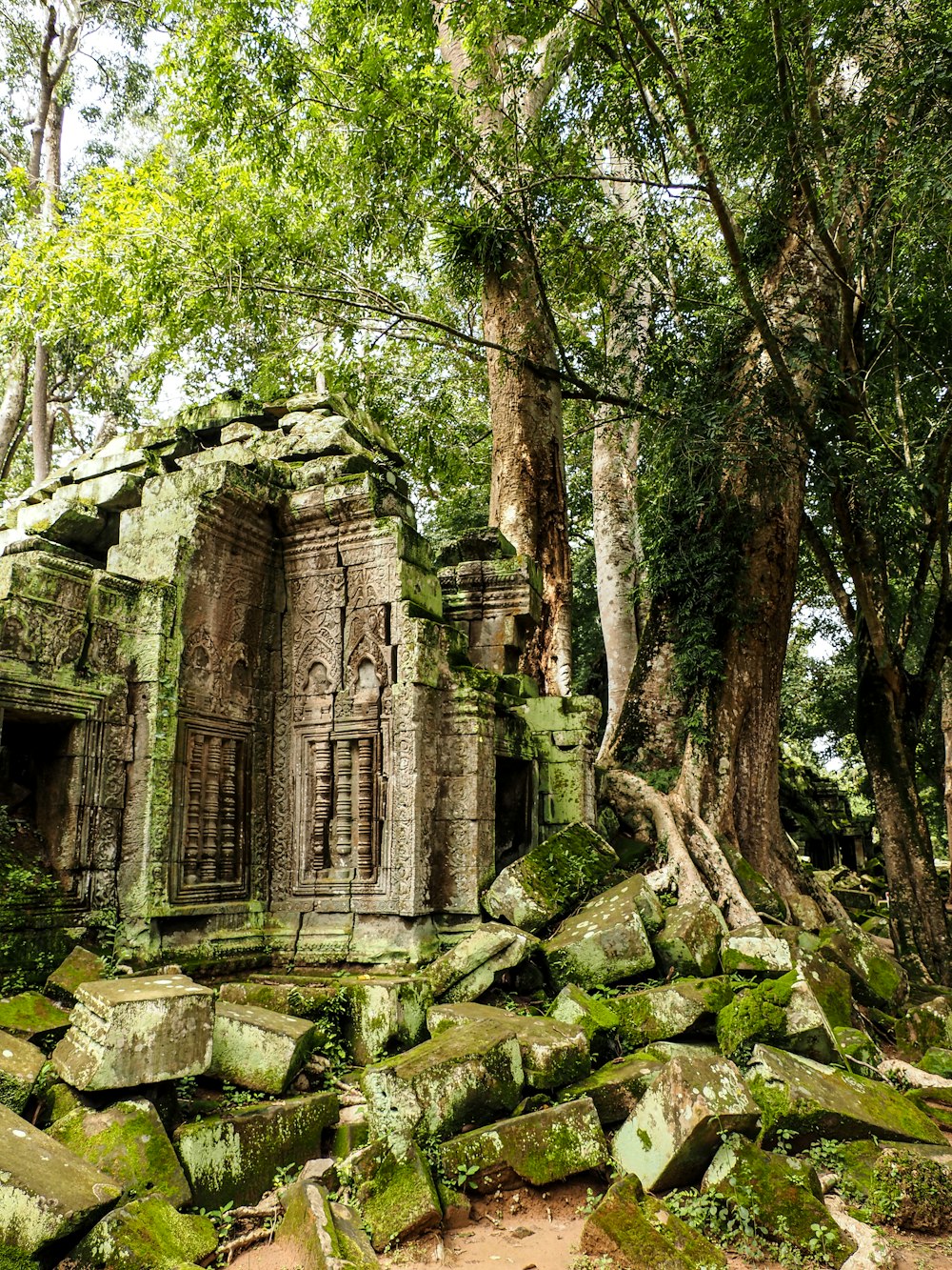 Una estructura de piedra en medio de un bosque
