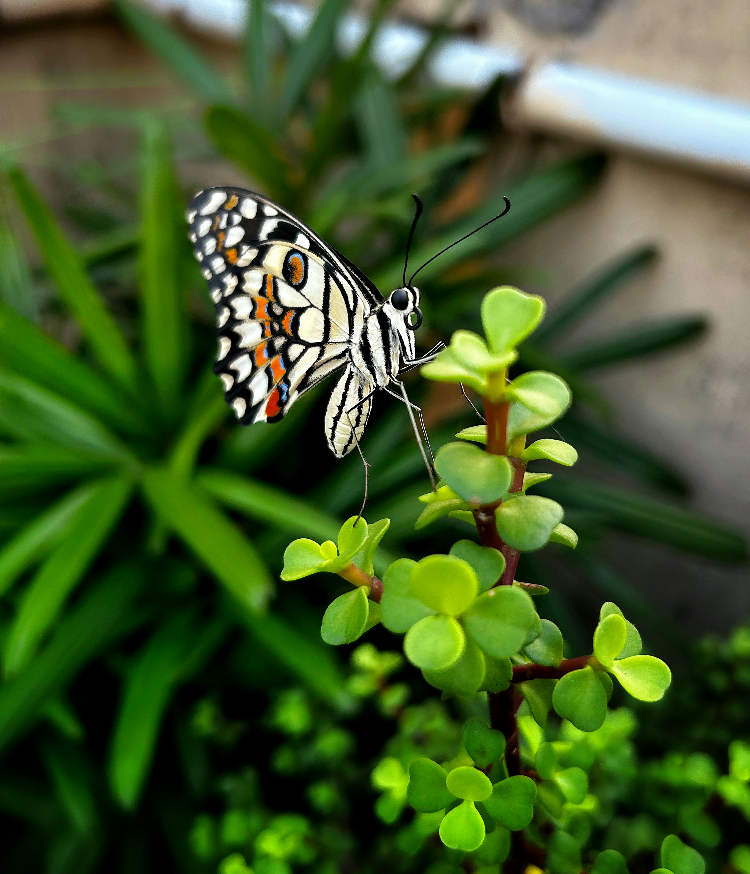 Photo by angshu_purkait