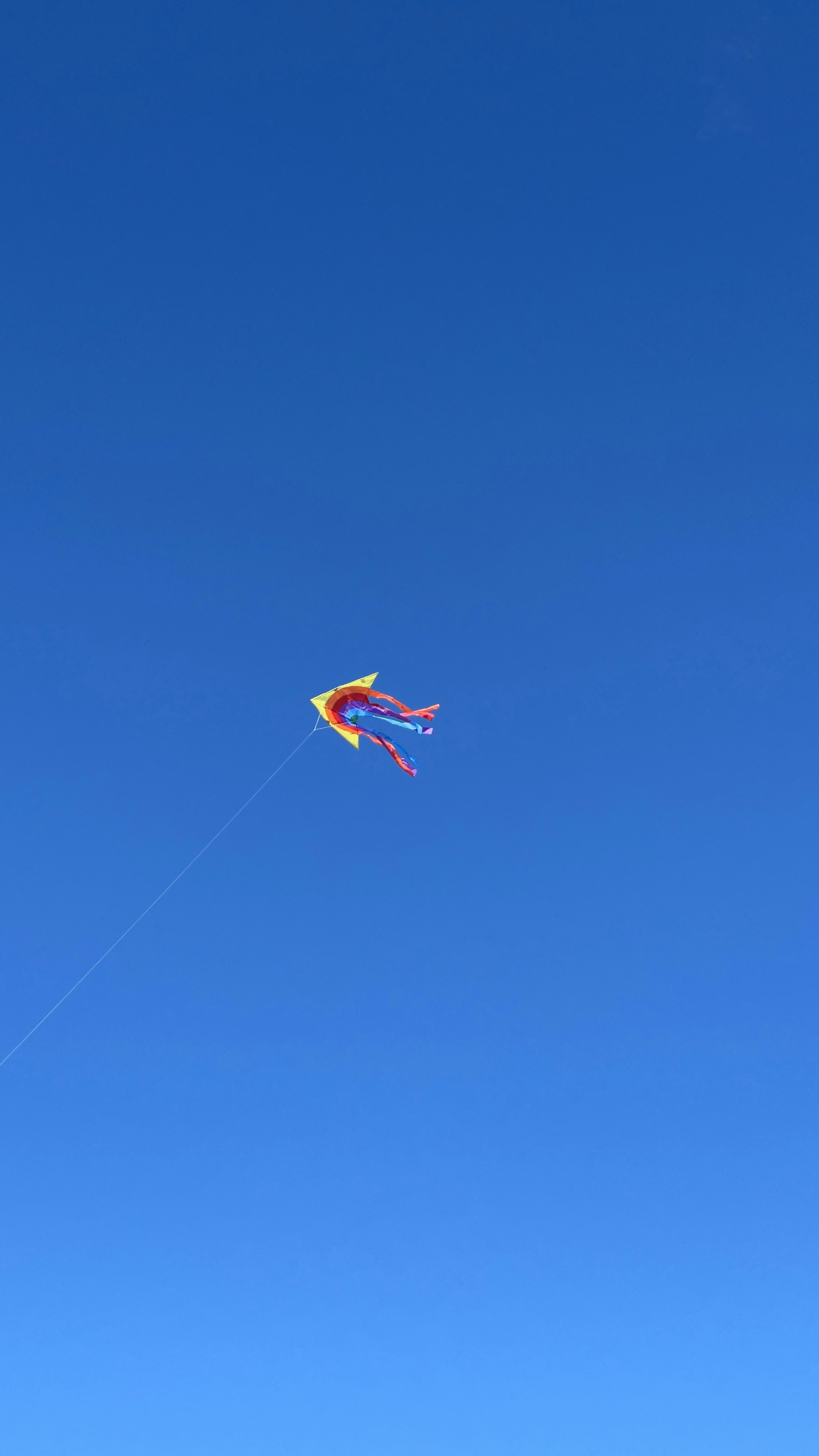 Photo by filipp_roman_photography