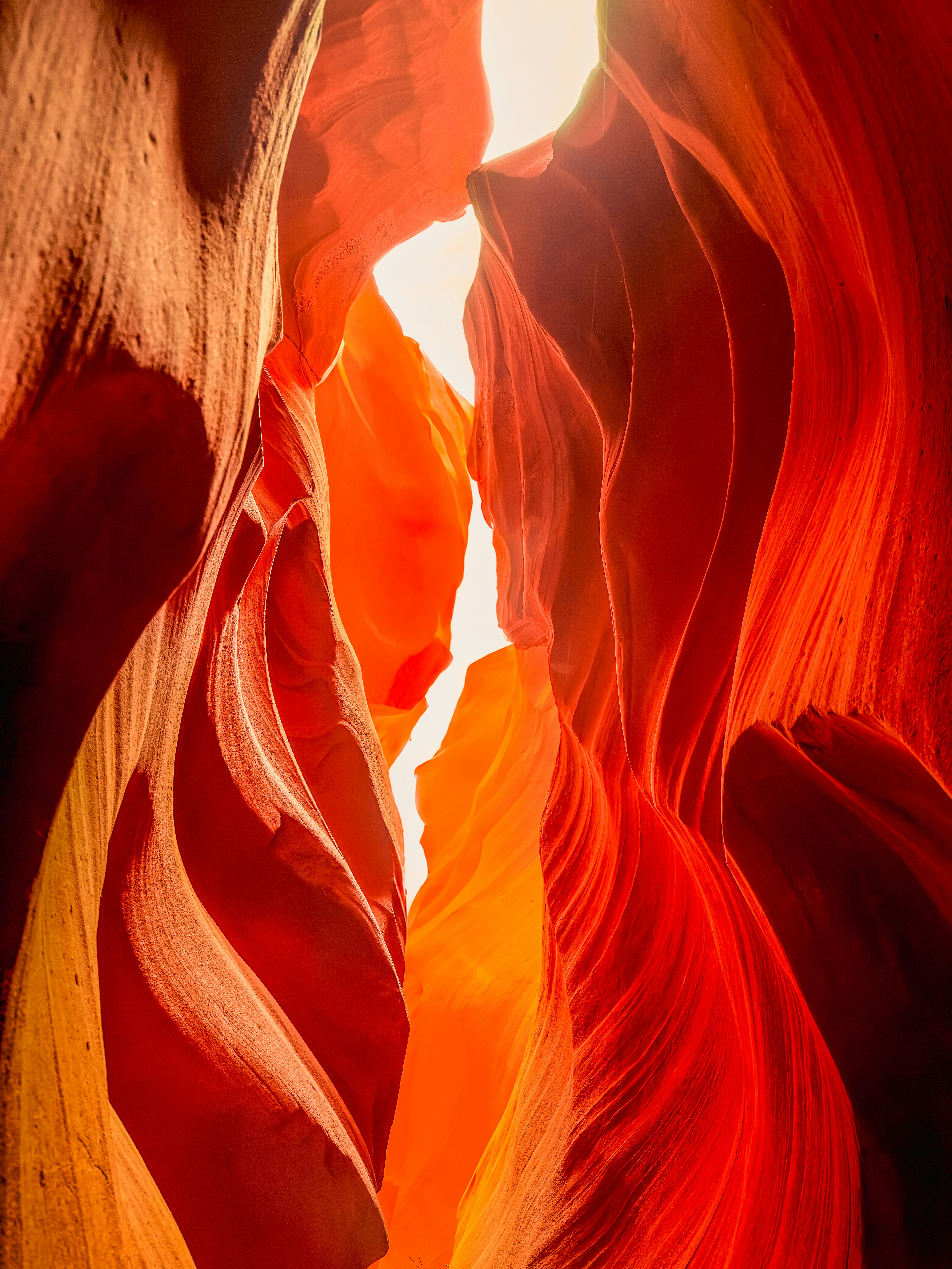 Photo by angelicateranp