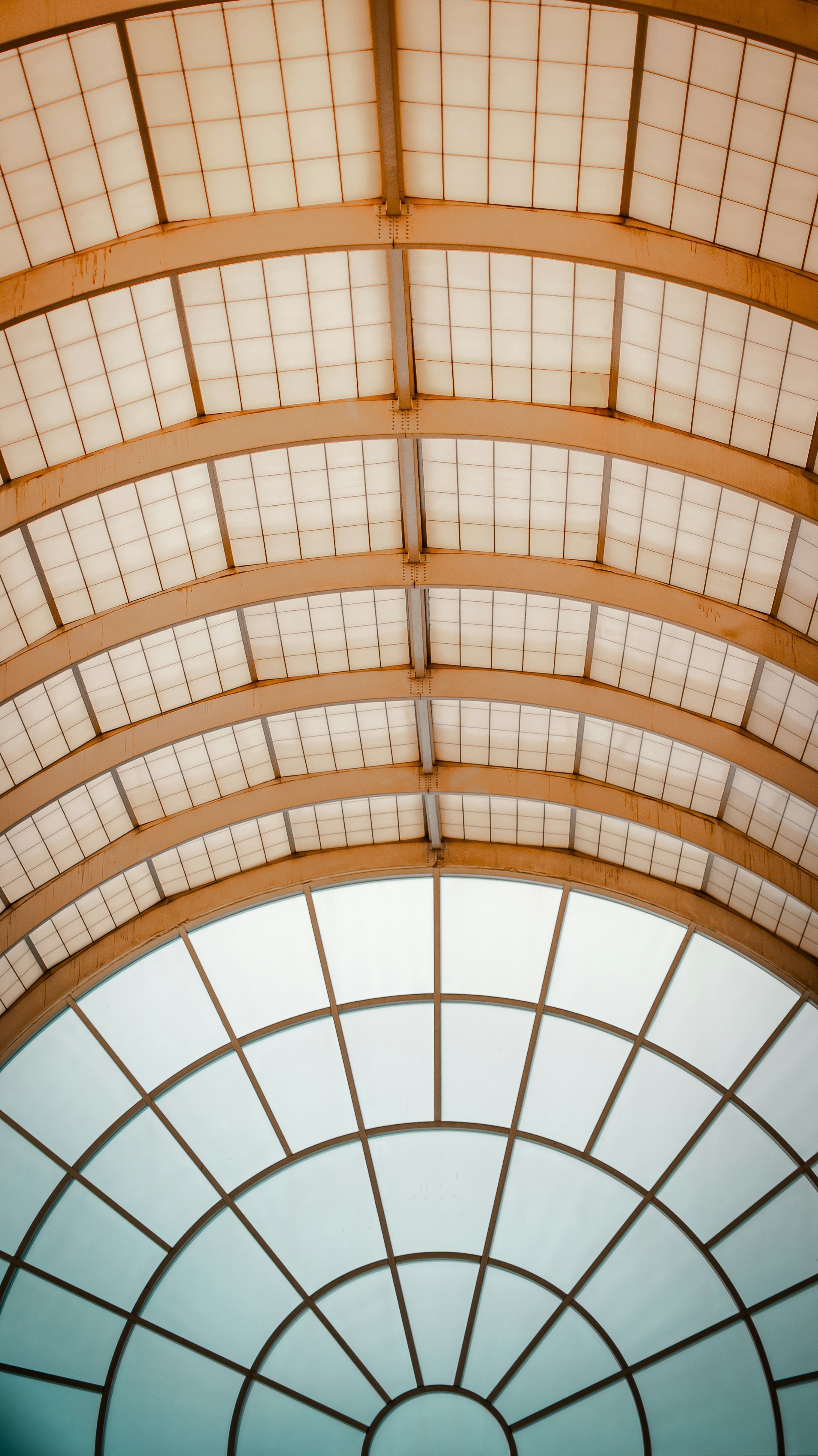 Photo by angelicateranp