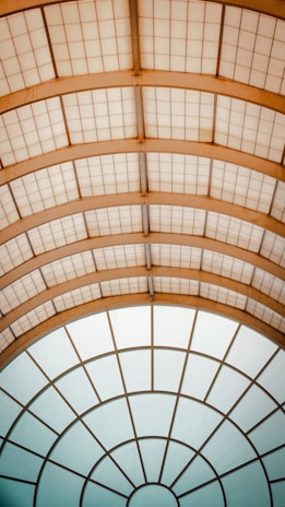 A ceiling structure with a series of geometric patterns, featuring a combination of rectangular and circular grid designs. The ceiling is composed of translucent panels with a metal framework, creating a modern and architectural aesthetic.