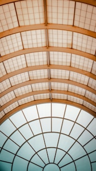 A ceiling structure with a series of geometric patterns, featuring a combination of rectangular and circular grid designs. The ceiling is composed of translucent panels with a metal framework, creating a modern and architectural aesthetic.