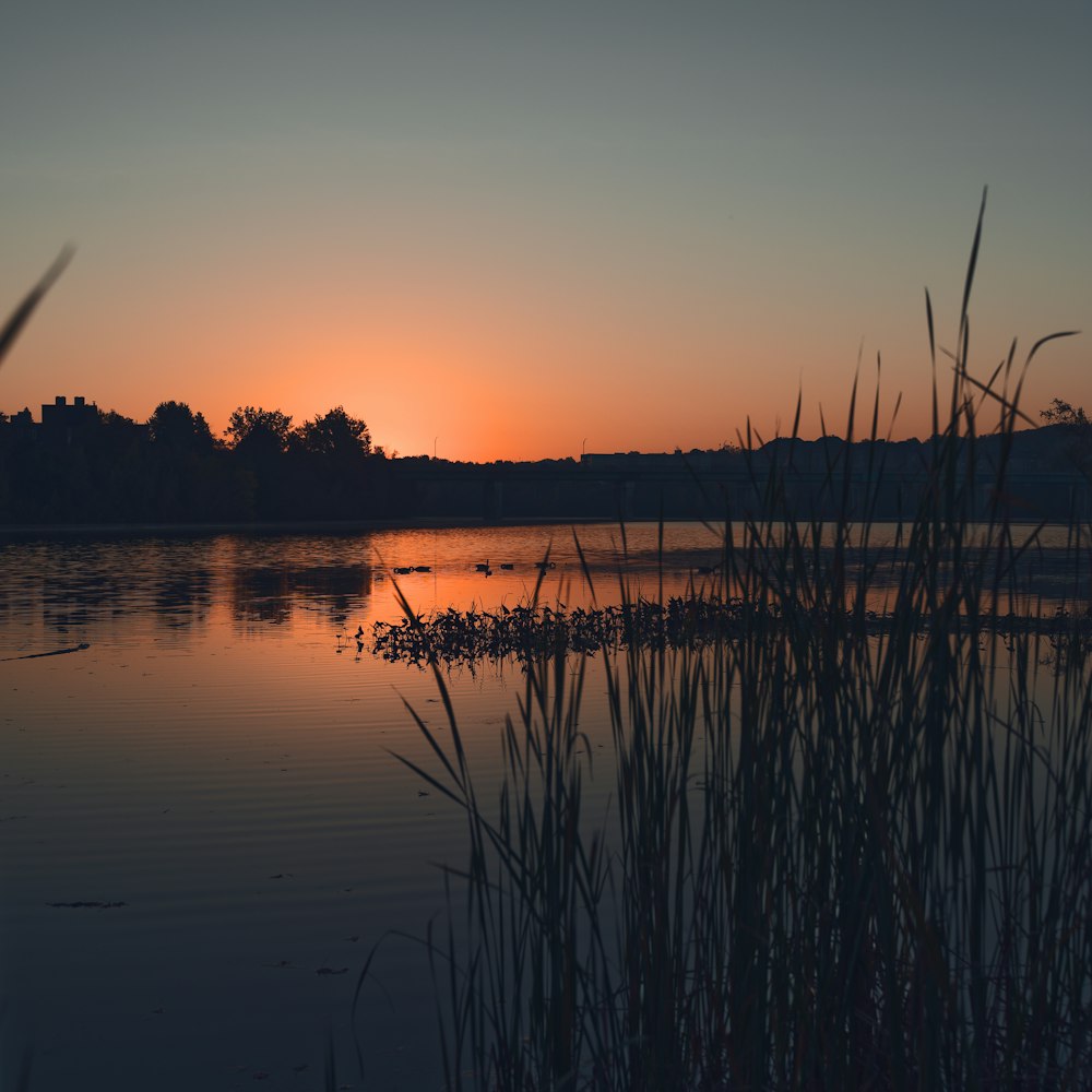 Il sole sta tramontando su uno specchio d'acqua