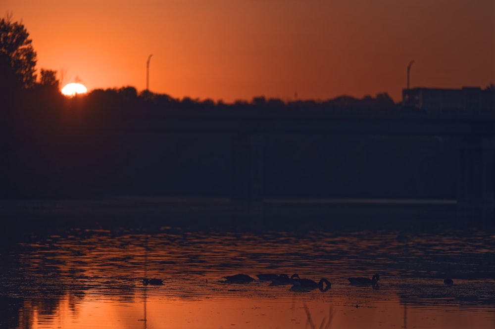 the sun is setting over a body of water