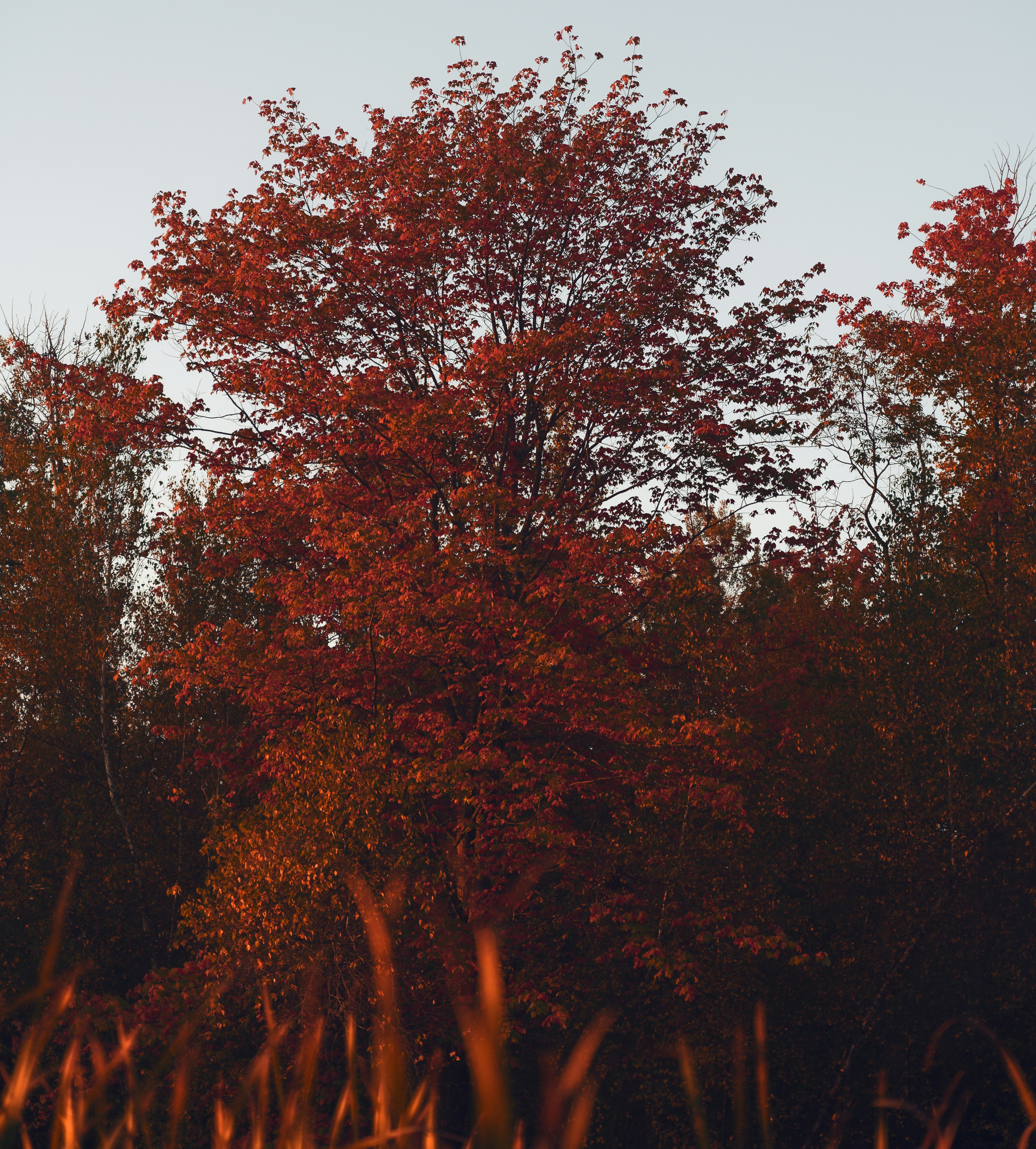 Photo by add_rien_20