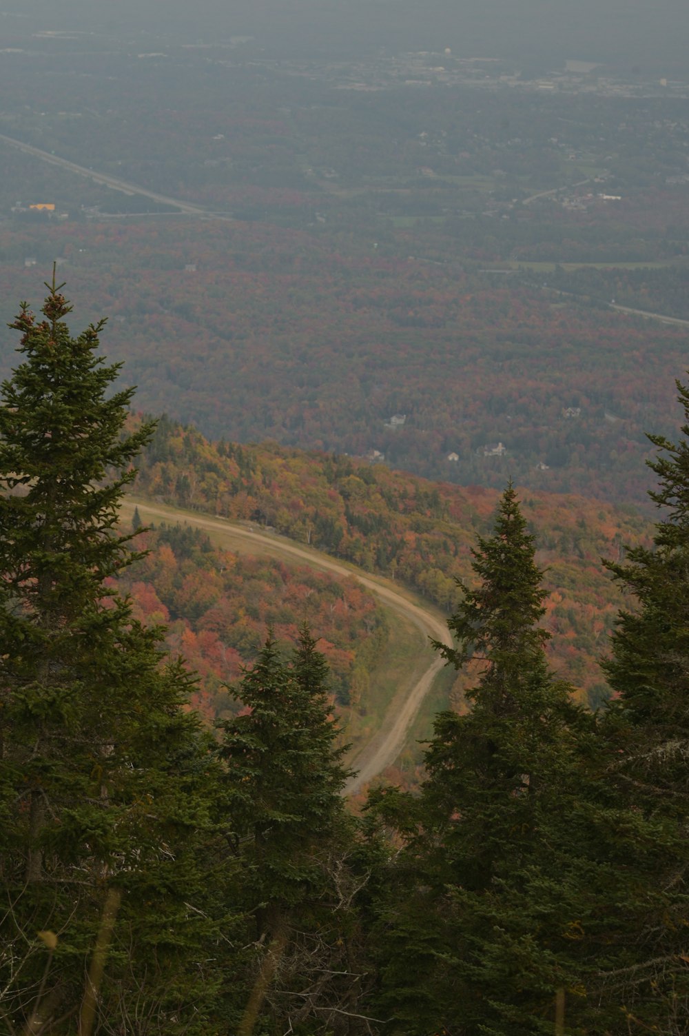 a scenic view of a road surrounded by trees