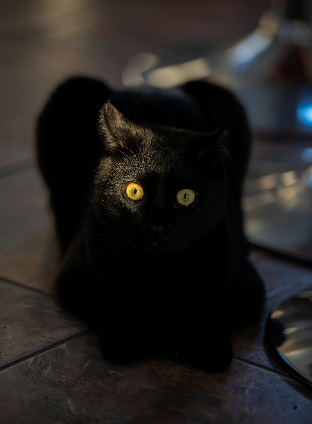 a black cat with yellow eyes laying on the floor