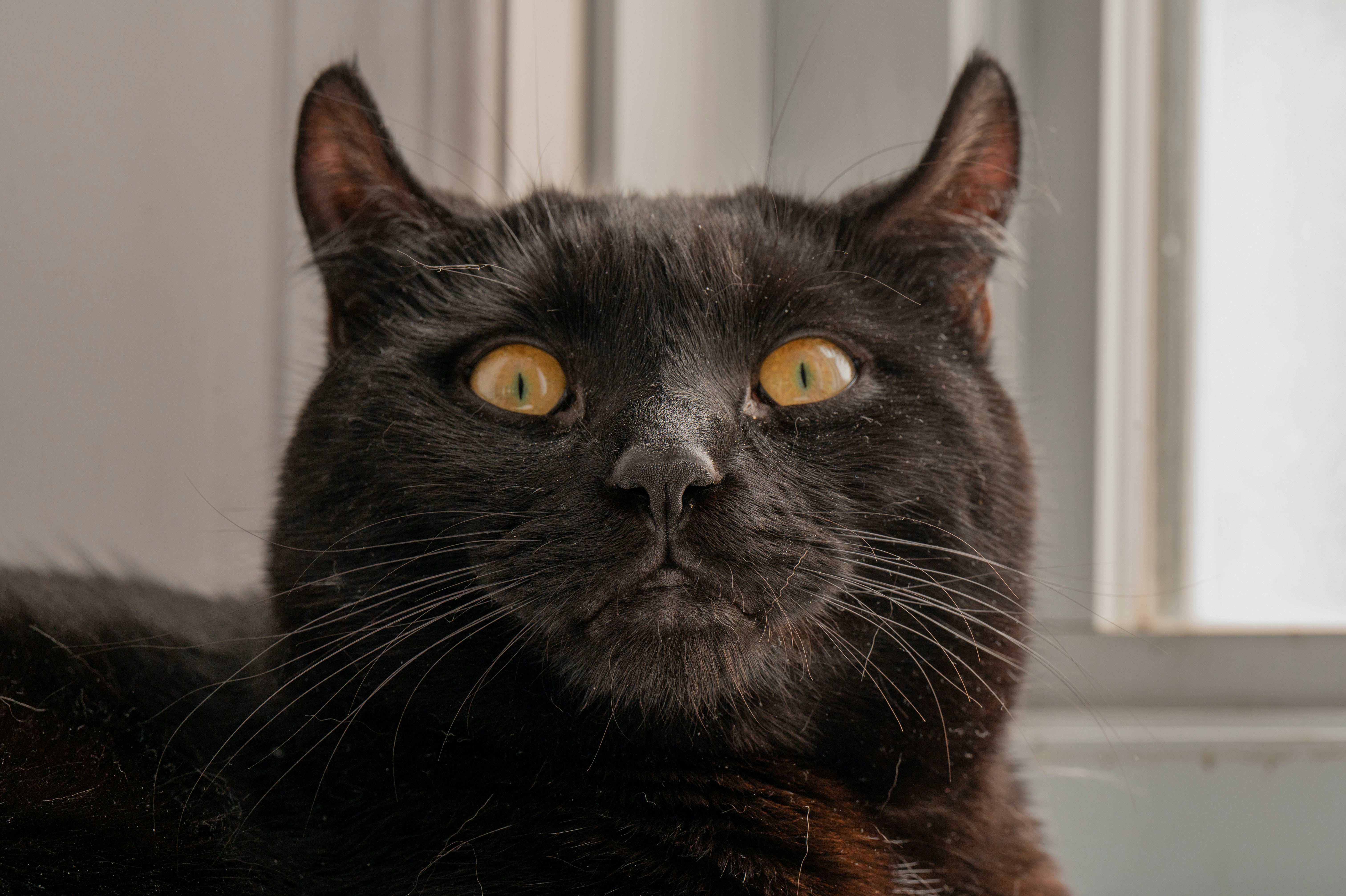 Photo by add_rien_20