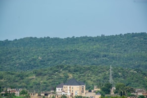 A large house with a dark roof is situated at the base of a lush, green forested hill. Several other smaller buildings and structures are visible nearby, as well as a tall power line tower. The image conveys a sense of tranquility and natural beauty, with the dense greenery of the forest dominating the scene.