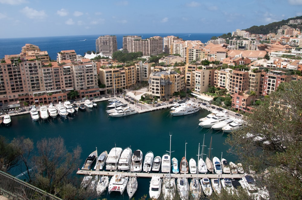 a harbor filled with lots of boats next to tall buildings