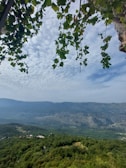 Travelers enjoying a scenic view at a lush vineyard.