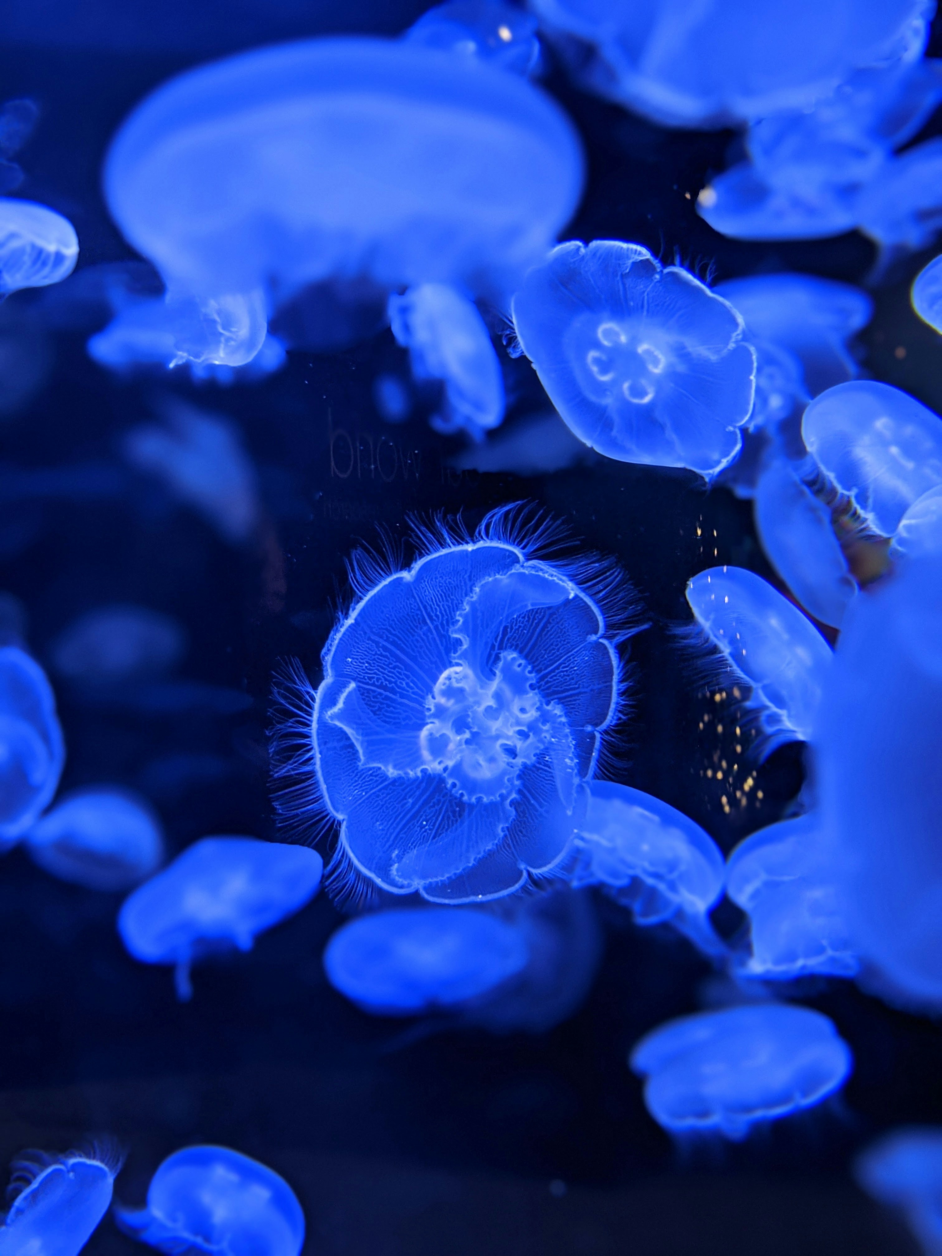 Photo by majorgrooove2