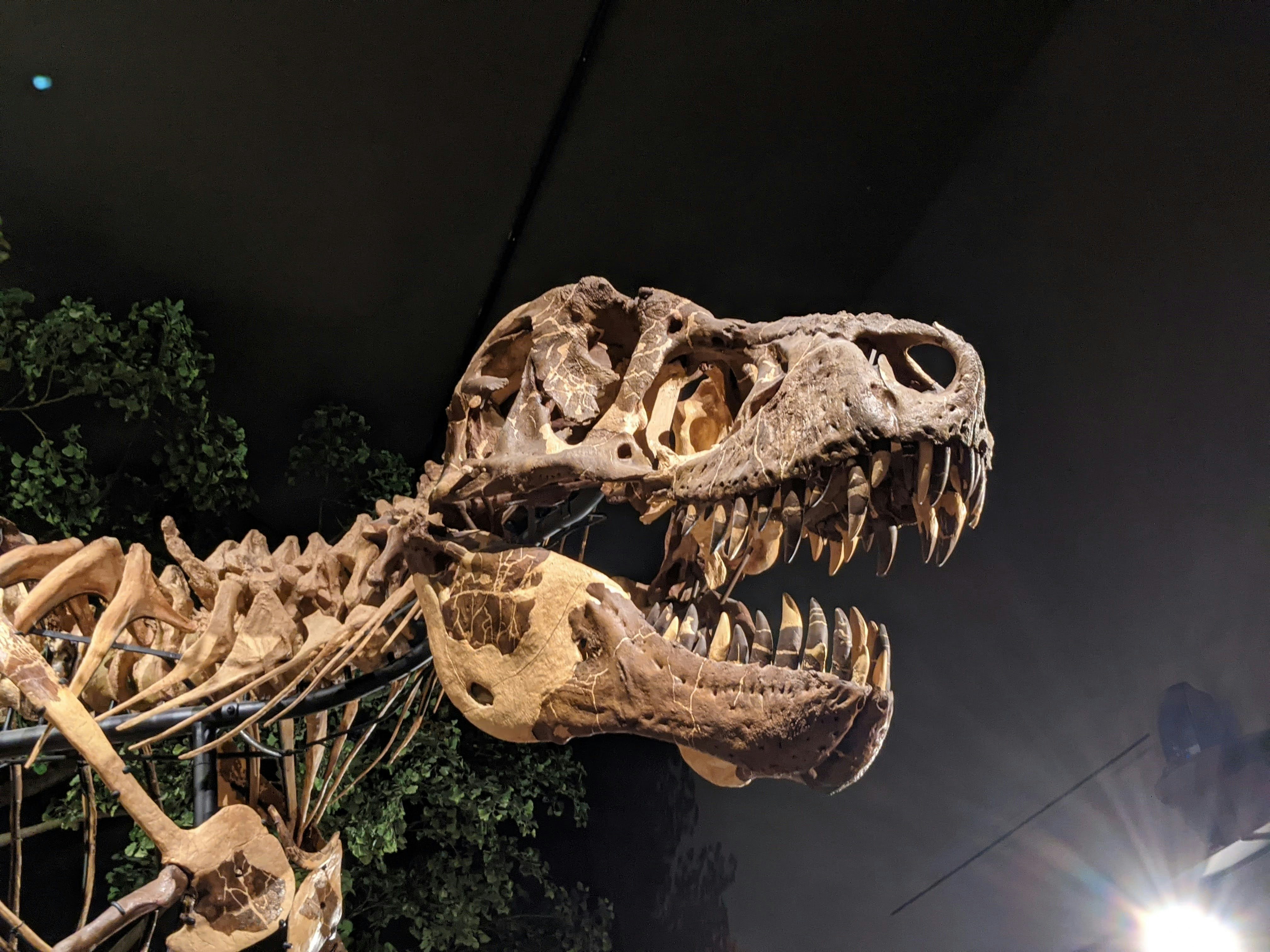 Photo by majorgrooove2