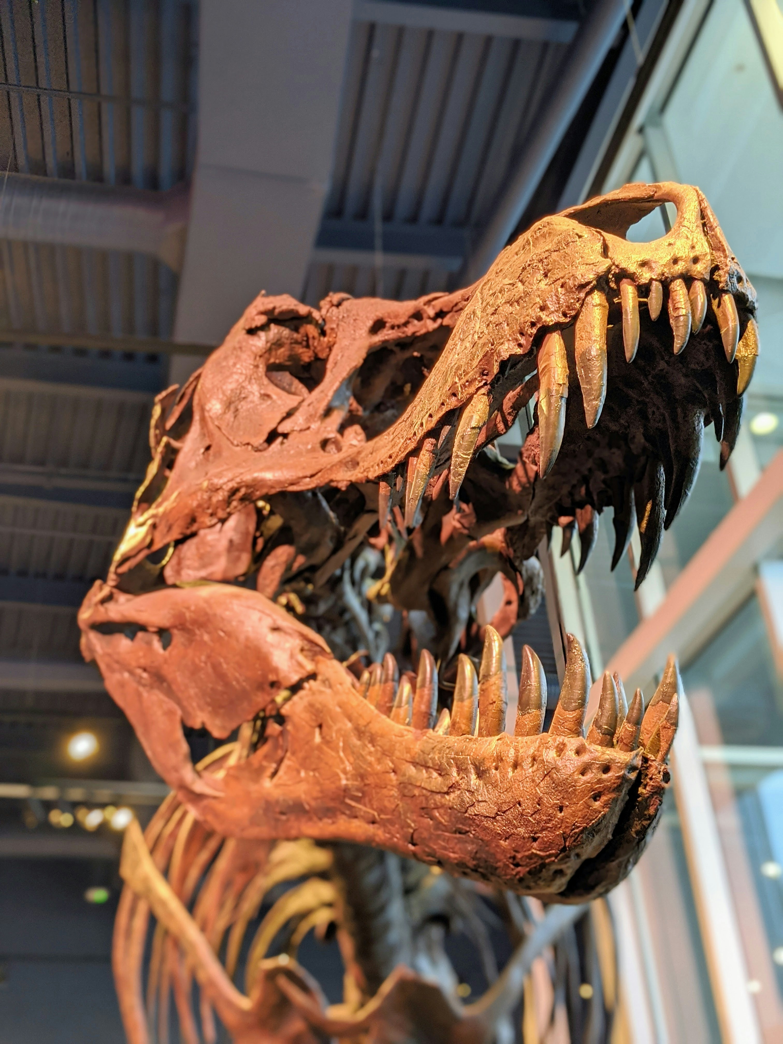 Photo by majorgrooove2