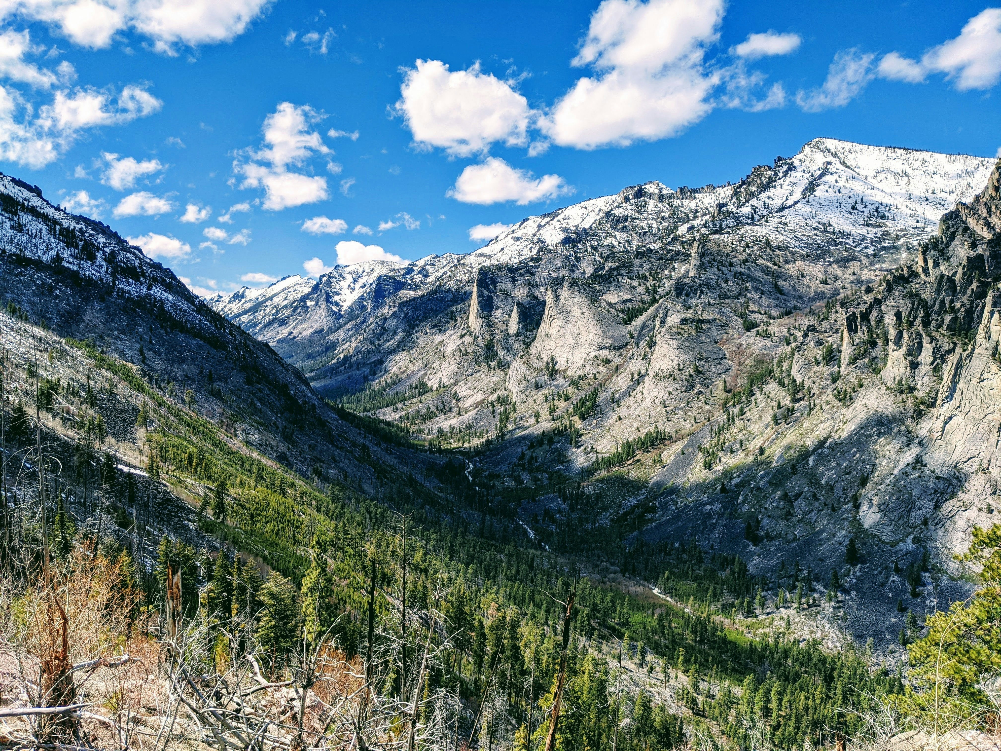 Photo by majorgrooove2