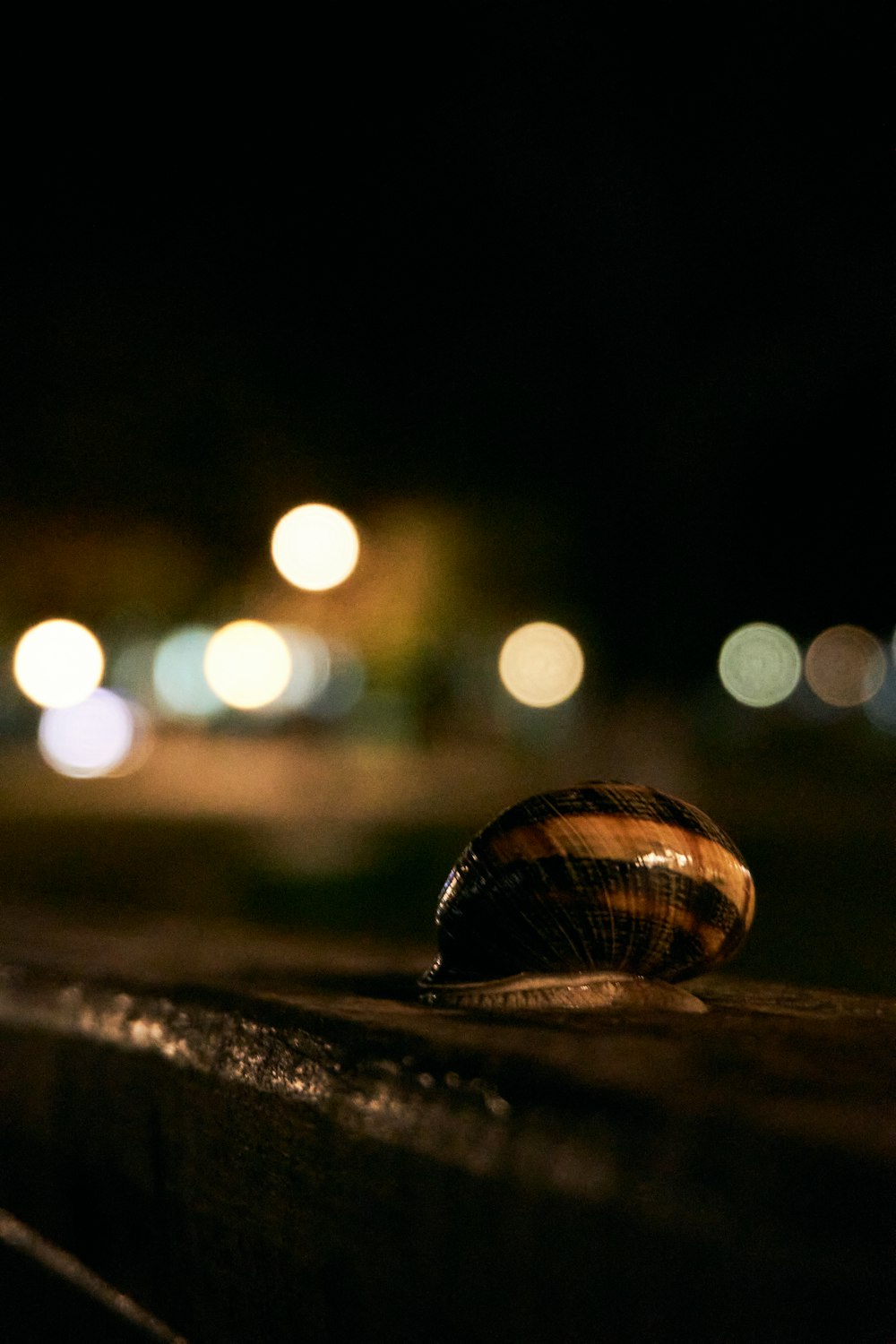 a snail is sitting on a ledge at night