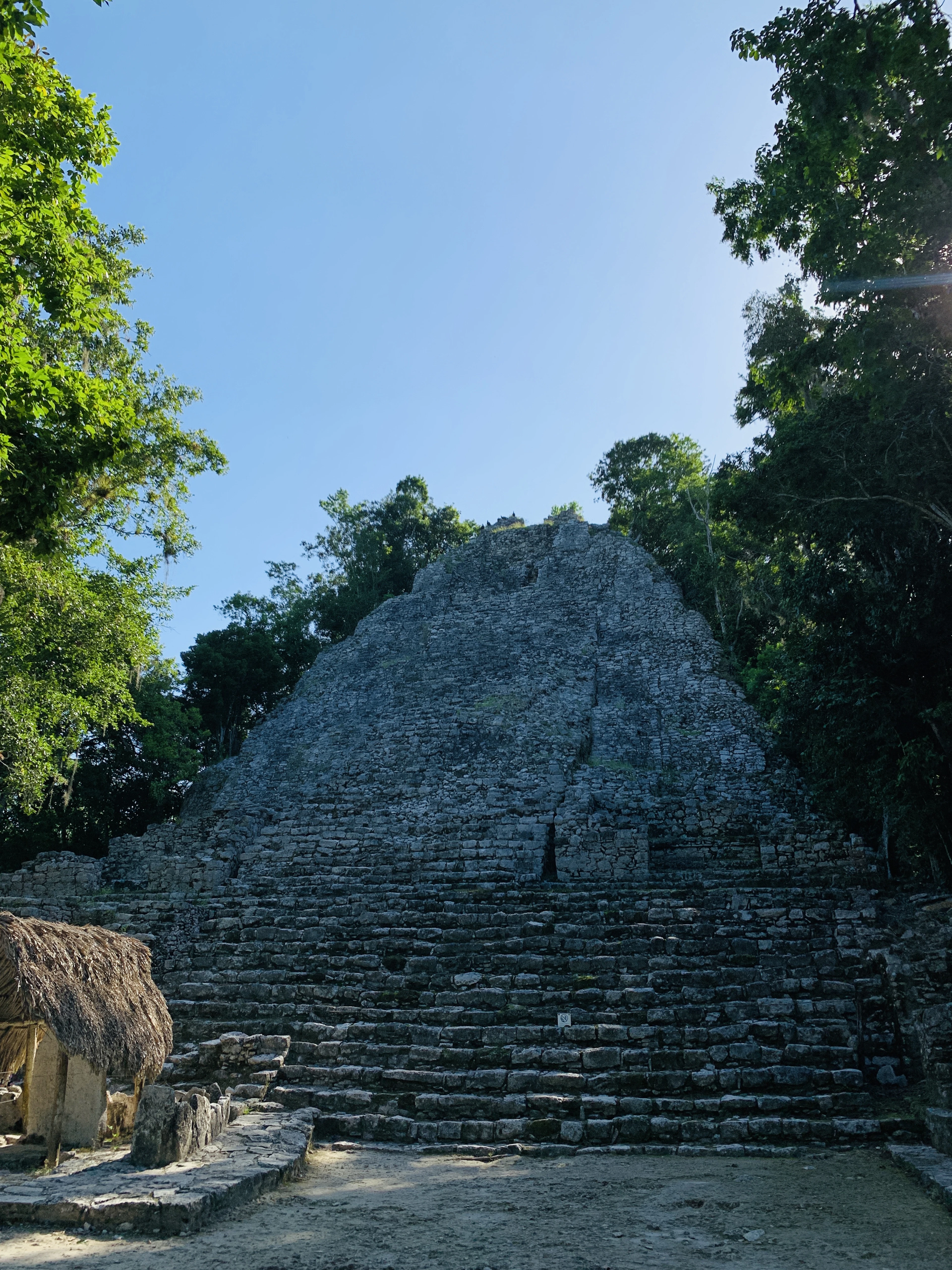 The steep stone pyramid of Nohoch Mul at Coba rising out of the jungle canopy under a clear blue sky, a palm-thatched shelter standing at its foot.
