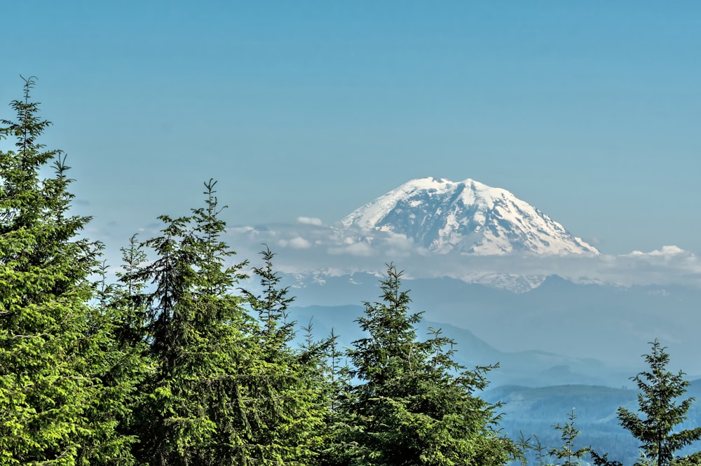 a view of a snow covered mountain through the trees