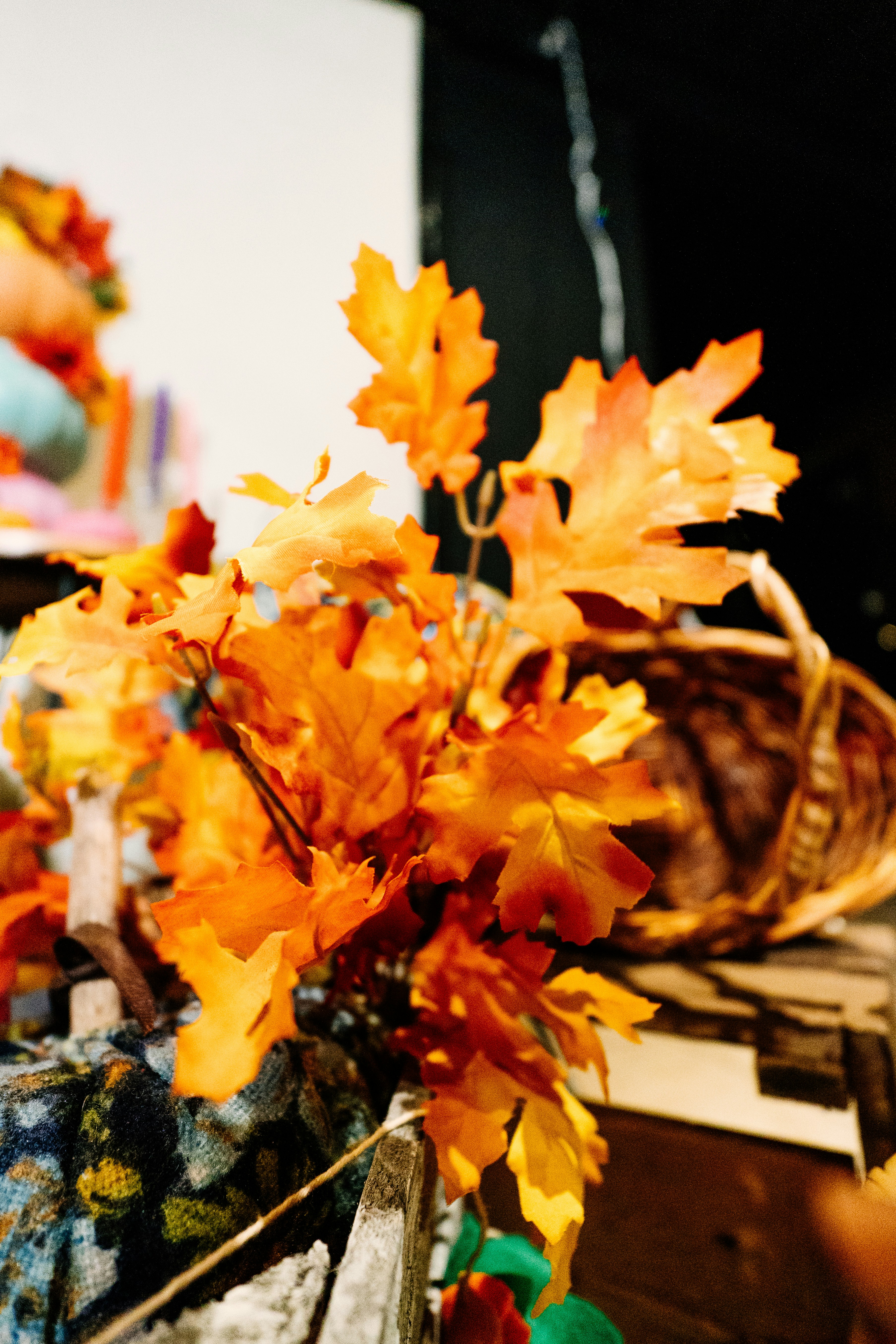 Photo by jonathecreator